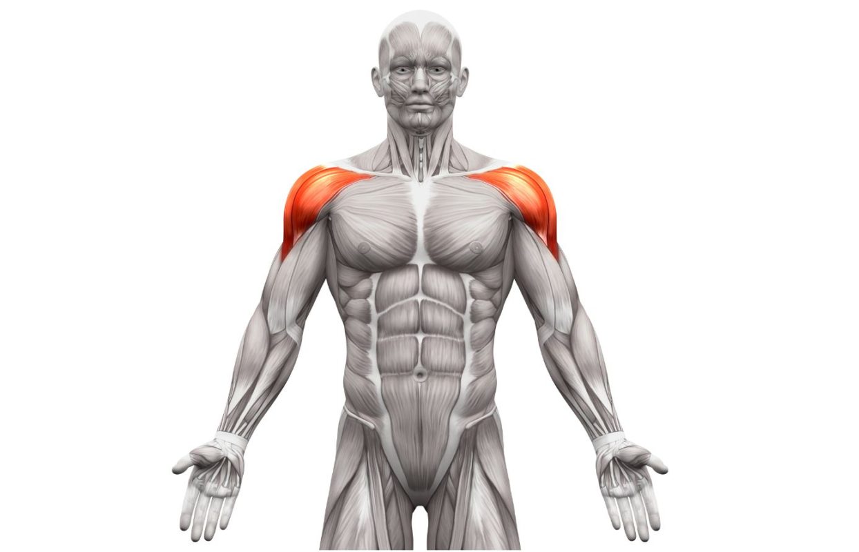 schulterluxation