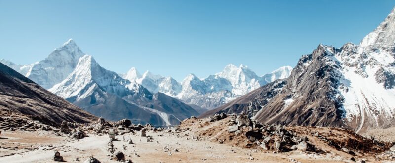 shilajit himalaya kaufen