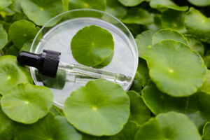 centella asiatica pipette